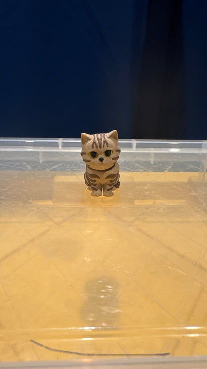 Tabby Cat - Bobble Head - Tan & Brown - SM