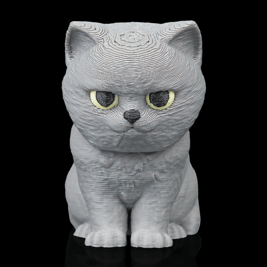 British Short Hair Cat - Bobble Head - Grey - SM
