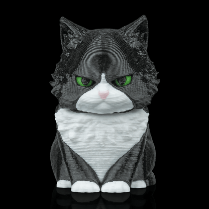 Maine Coon Cat - Bobble Head - Black & White - SM