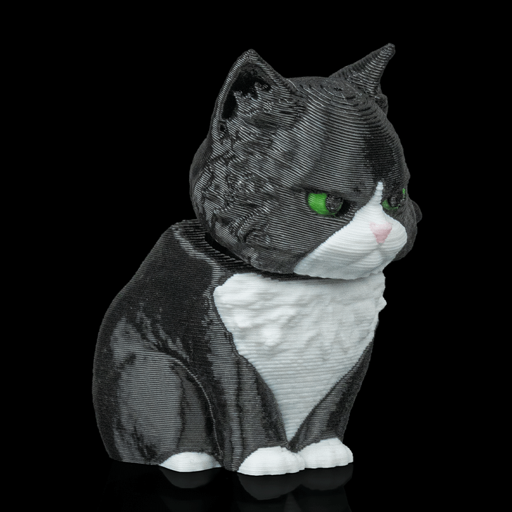 Maine Coon Cat - Bobble Head - Black & White - SM