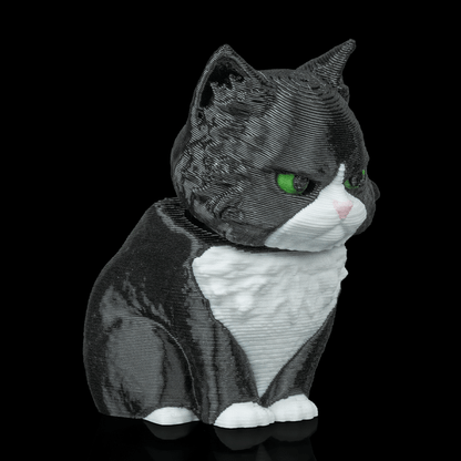 Maine Coon Cat - Bobble Head - Black & White - SM