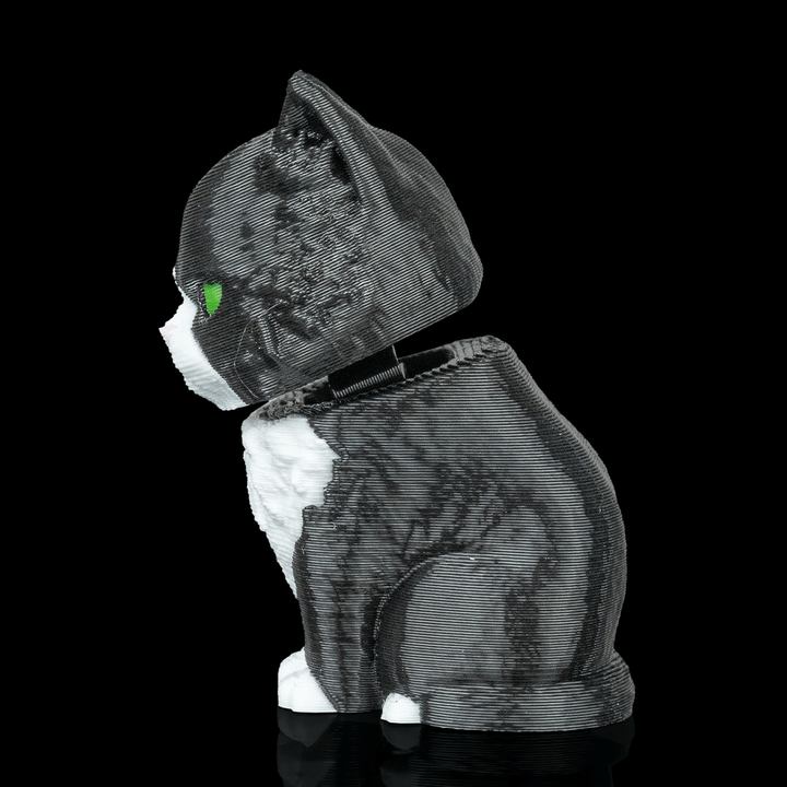 Maine Coon Cat - Bobble Head - Black & White - SM