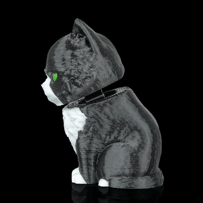 Maine Coon Cat - Bobble Head - Black & White - SM