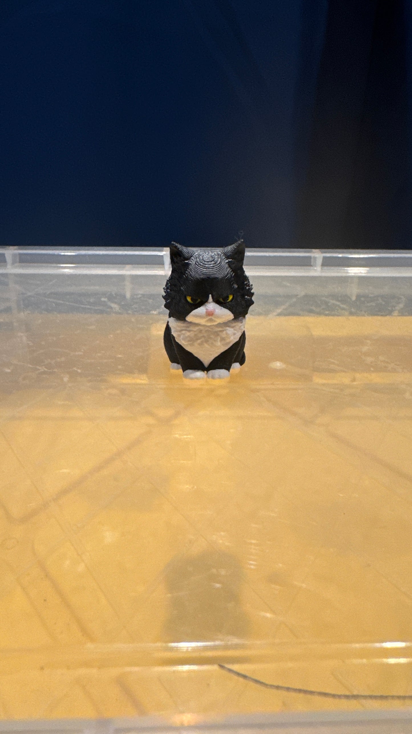 Maine Coon Cat - Bobble Head - Black & White - SM
