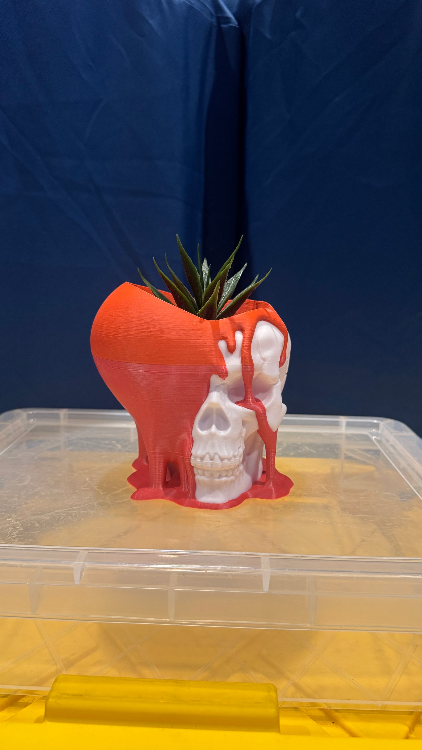 Love Decay - Planter - Red & White