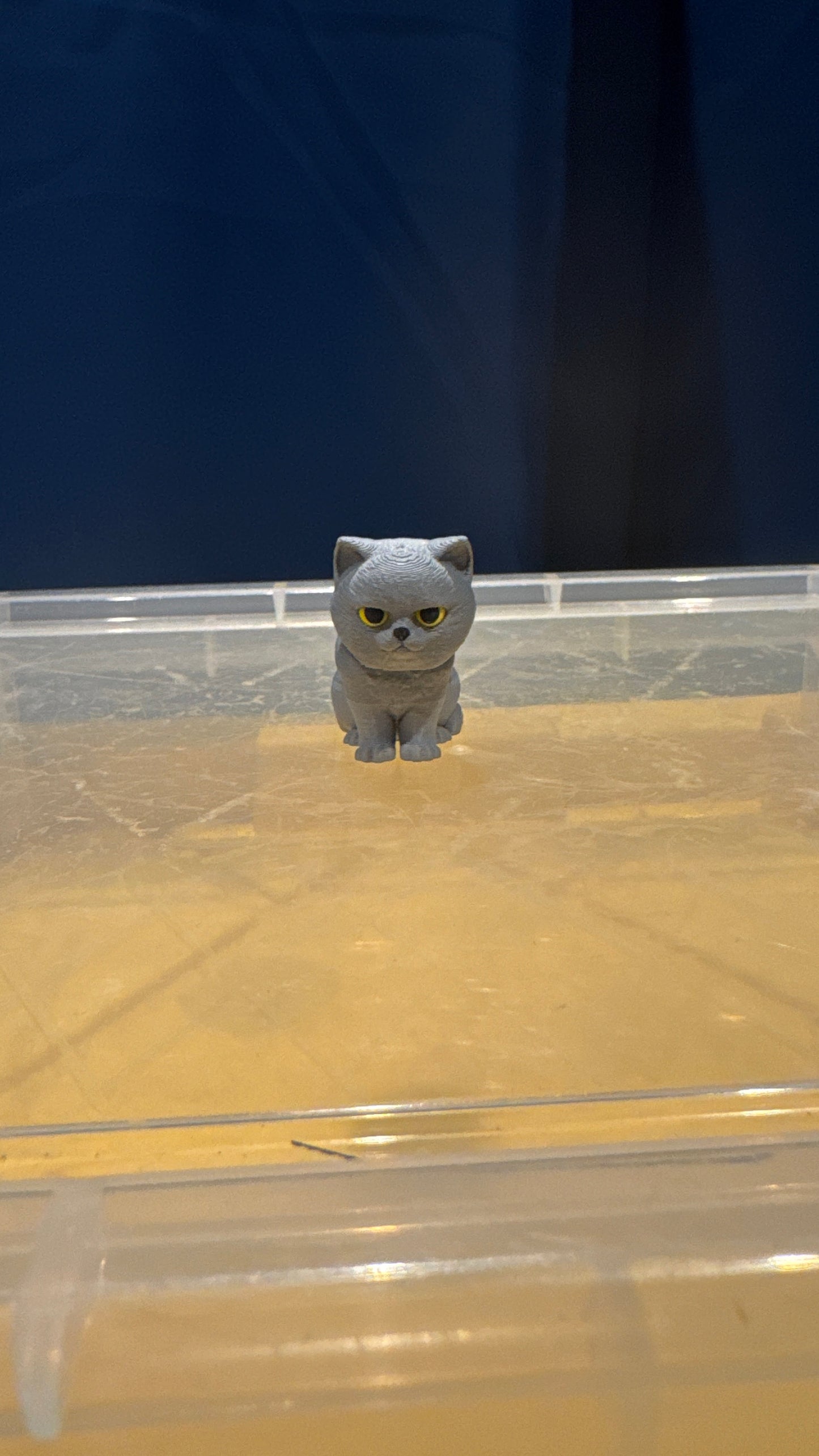 British Short Hair Cat - Bobble Head - Grey - SM