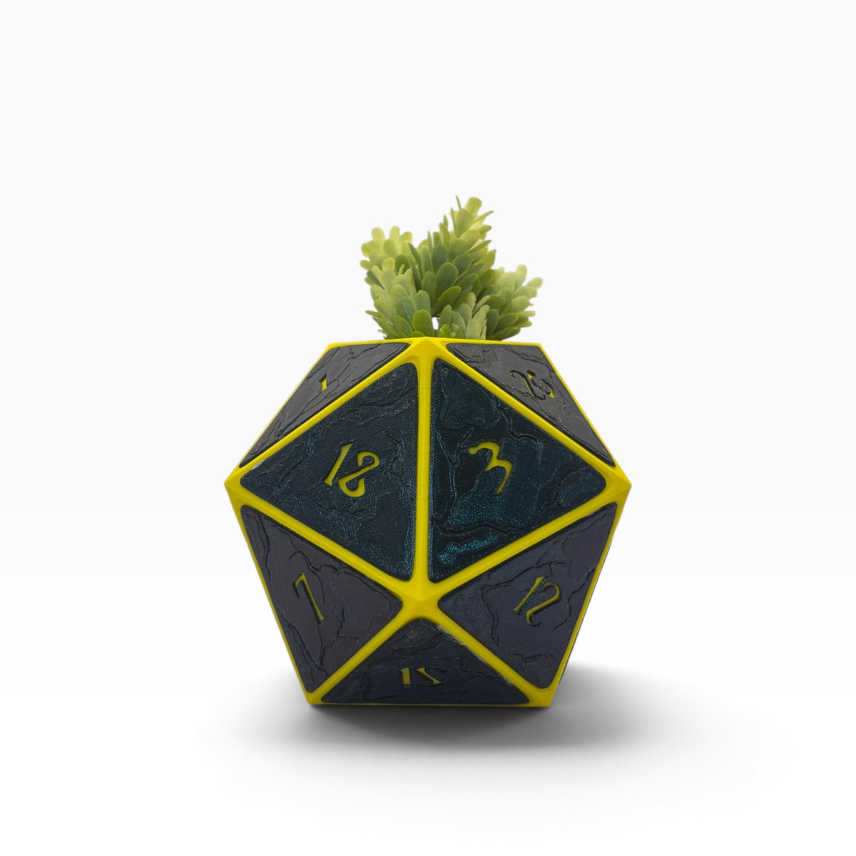 Dice - Planter - Black & Yellow - MD
