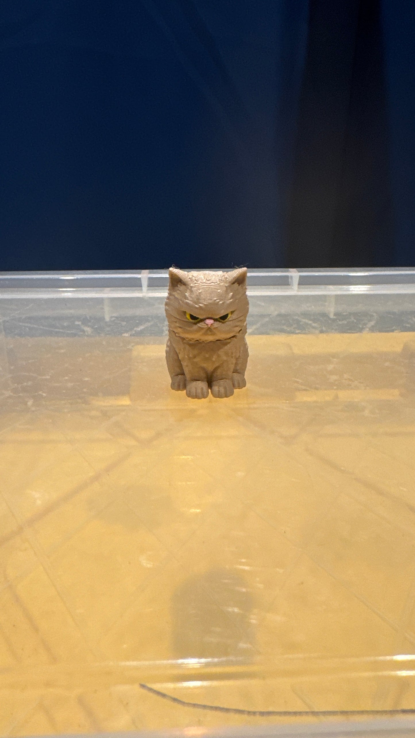 Persian Cat - Bobble Head - Tan - SM