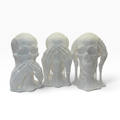 Skulls of Wisdom Trio - Decor - White - SM